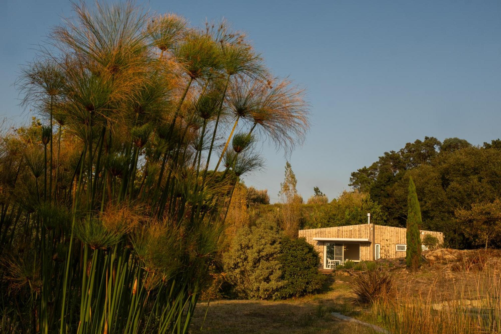 O Vale Villa Ericeira Exterior photo